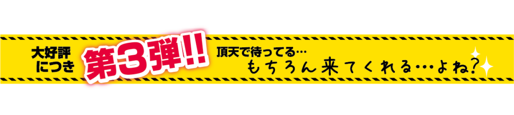 大好評につき第3弾‼
